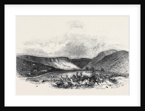 Glen Tilt by Anonymous