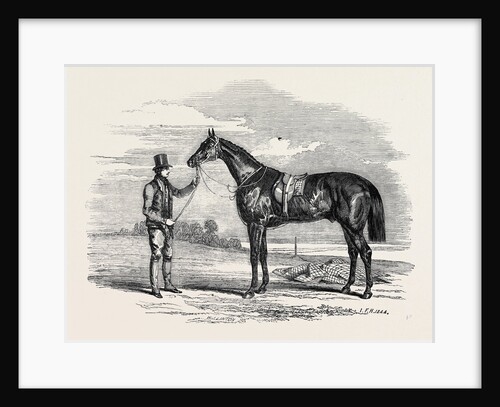 Foigh-a-Ballagh, the Winner of the Great St. Leger and Grand Duke Michael Stakes by Anonymous