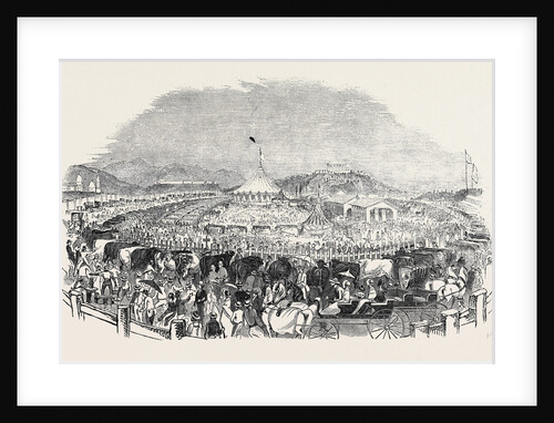 The Great Poughkeepsie Cattle Show by Anonymous