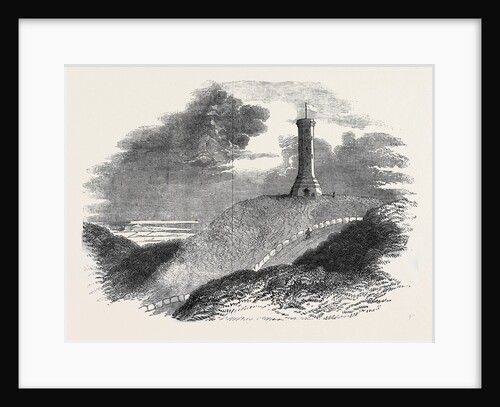Monument to Admiral Sir Thomas Hardy, on Blagdon Hill by Anonymous