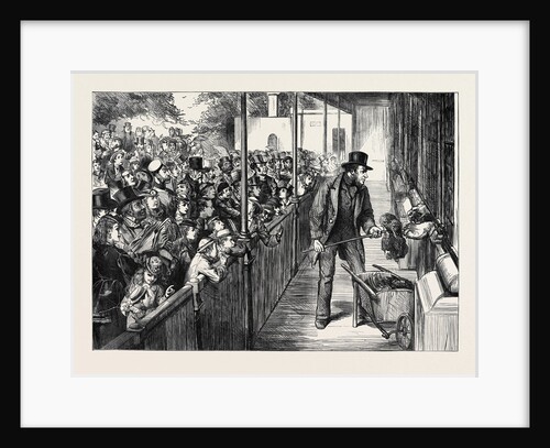 The Statute Holiday: The Zoological Society's Gardens Regent's Park London 1871 by Anonymous