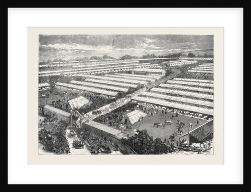 The Royal Visit to the Irish Agricultural Society's Show at Dublin 1871 by Anonymous
