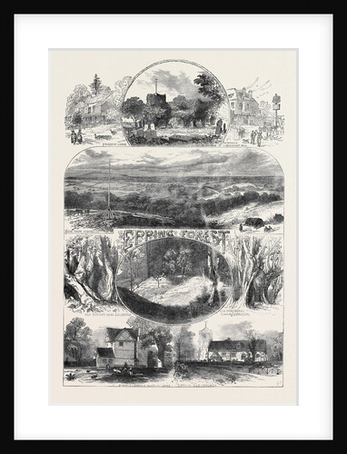 Sketches in Epping Forest 1871 by Anonymous