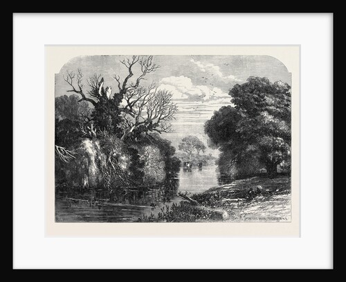 View in Tichborne Park Alresford Hants. 1871 by Anonymous