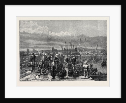 Sardine Fishery on the Coast of Brittany France 1871 by Anonymous