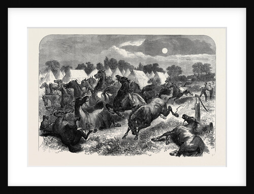 Stampede of Cavalry Horses at Aldershott Camp 1871 by Anonymous