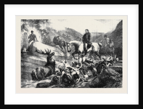 A Stag at Bay on Exmoor Forest, 1871 by Anonymous