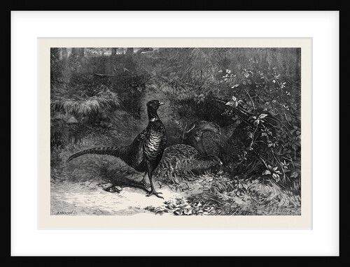 The Months: October by Anonymous