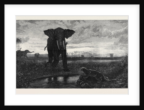 The Indian Desert 1871 by Anonymous