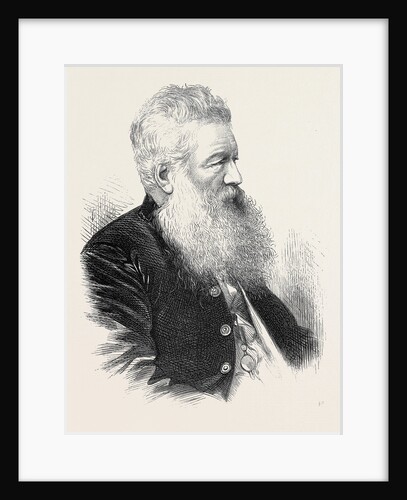 The Late Mr. R. Young Sheriff Elect of London 1871 by Anonymous