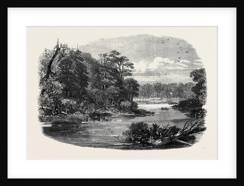 The Red River Expedition: Camp of the 60th Rifles Near Shebandowan 1871 by Anonymous