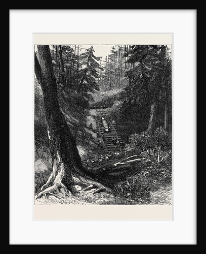 The Red River Expedition: Crossing a Portage 1871 by Anonymous