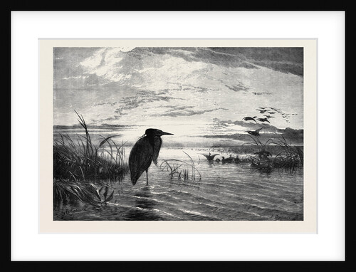 The Months: A Solitary Christmas Eve by Anonymous