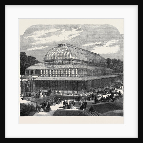 The Conservatory in the Royal Horticultural Society's Gardens South Kensington by Anonymous