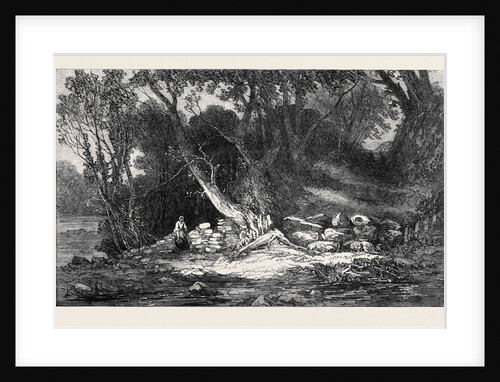 The Woodland Glade, from the Royal Academy Exhibition by Anonymous