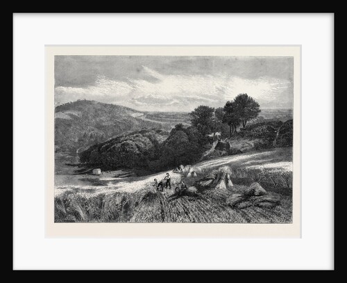 A Surrey Cornfield from the Exhibition of the Society of British Artists by Anonymous