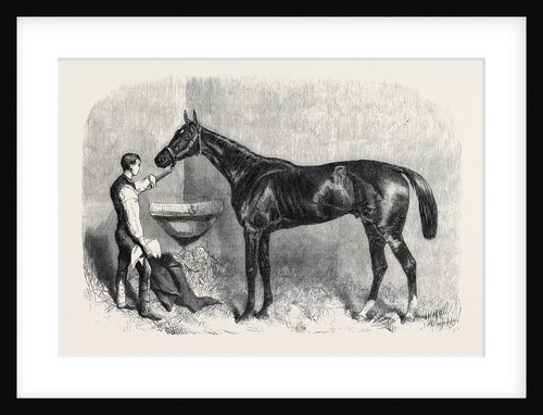 The Goodwood Races Starke the Winner of the Goodwood Cup August 10 1861 by Anonymous