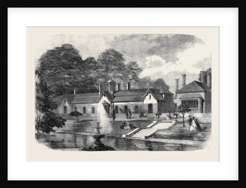 The Royal Aviary Near Windsor by Anonymous