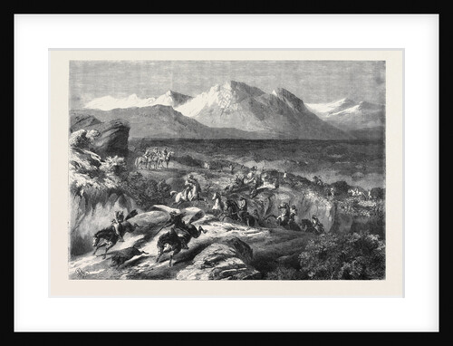 A Recent Wild Boar Hunt in Algeria by Anonymous