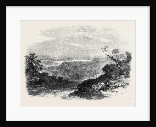 Sketches from Sydney New South Wales: View from South Head Road the Harbour in the Distance by Anonymous