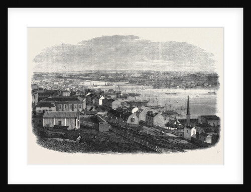 General View of Sydney New South Wales by Anonymous