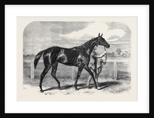 Caller Ou the Winner of the St. Leger by Anonymous