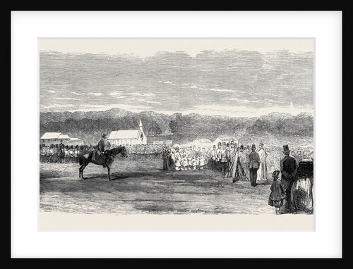 Presentation of Colours to the 36th Regiment by the Prince of Wales at the Curragh Camp by Anonymous