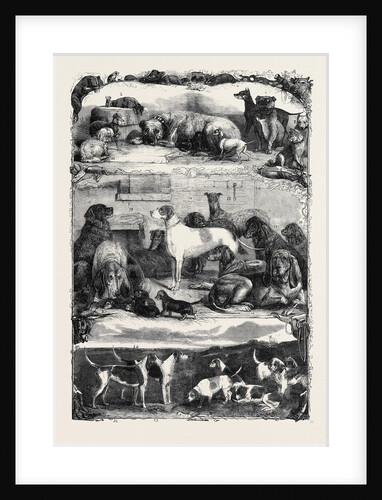 The Exhibition of Sporting and Other Dogs at the Horse Repository Holborn: Prize Animals by Anonymous