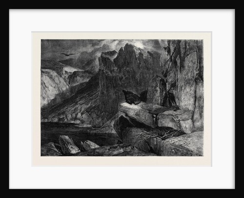 The Eagle's Nest, in the South Kensington Museum, London by Anonymous