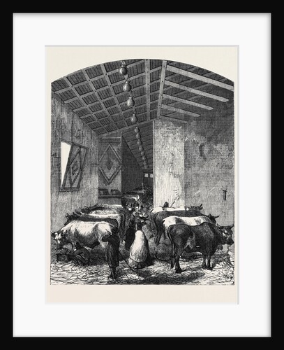 The Cattle Department at the Italian Exposition Florence by Anonymous