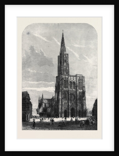 Strasbourg Cathedral by Anonymous