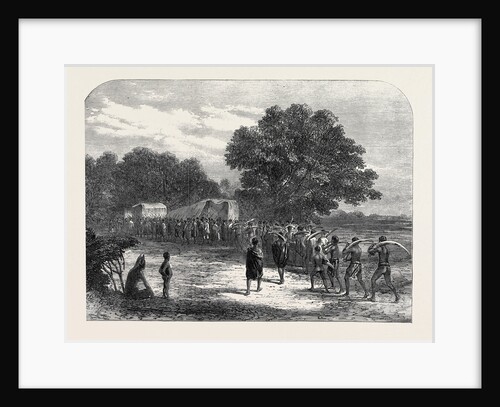 Bringing Ivory to the Waggons in South Africa 1868 by Anonymous