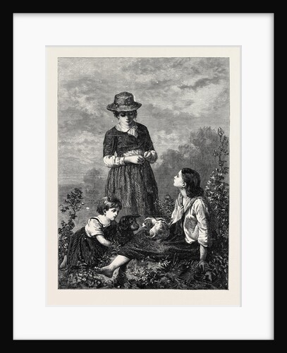 The Rival Pets, in the Exhibition at the French Gallery Pall Mall 1868 by Anonymous