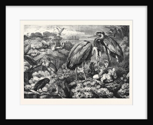 The Heronry at Didlington Park Norfolk 1868 by Anonymous