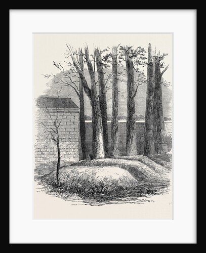 Close of the War with China: Graves of Lieut. Anderson Private Phipps and Messrs. De Norman and Bowlby in the Russian Cemetery Pekin by Anonymous
