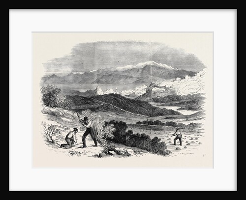 Garibaldi Digging Roots in His Favourite Garden Caprera by Anonymous