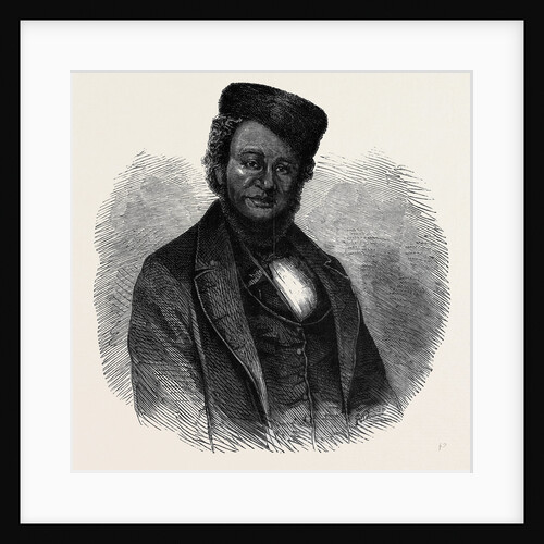 John Anderson the Fugitive Slave in Canada by Anonymous