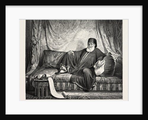 Mohammed Ali, Egypt Engraving 1879 by Anonymous