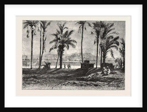 Near Gizeh by Anonymous