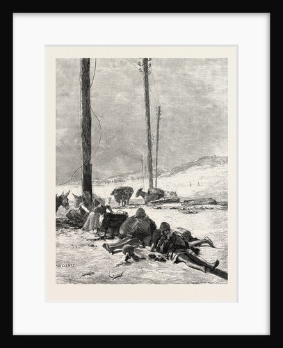 Telegraph Wires in the Desert by Anonymous