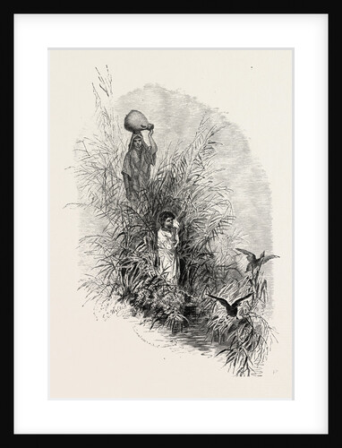 Among The Reeds By The River by Anonymous