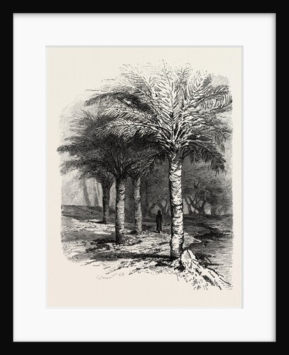 The Well of Moses by Anonymous