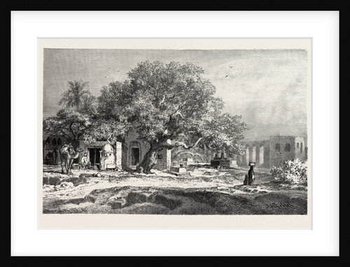 Old Aqueduct by Anonymous