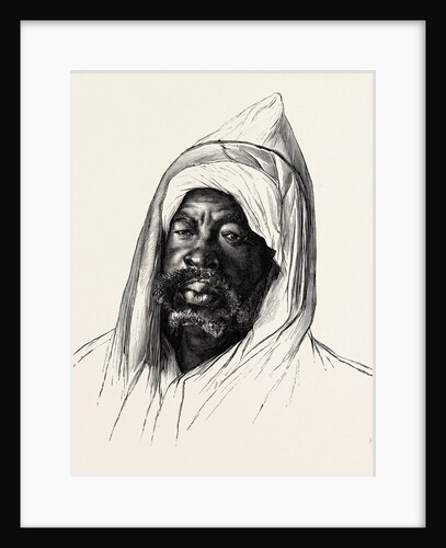 The Mesahhar by Anonymous