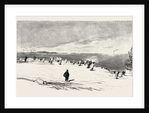 Waiting For The Pilgrim Ship Near Suez by Anonymous