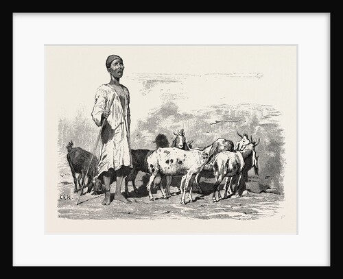 Cairene Milkman by Anonymous