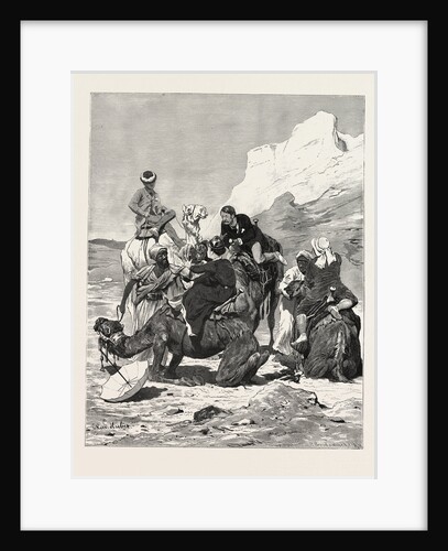 A First Ride On A Camel by Anonymous