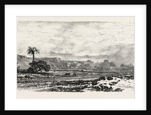 Road To The Petrified Forest by Anonymous