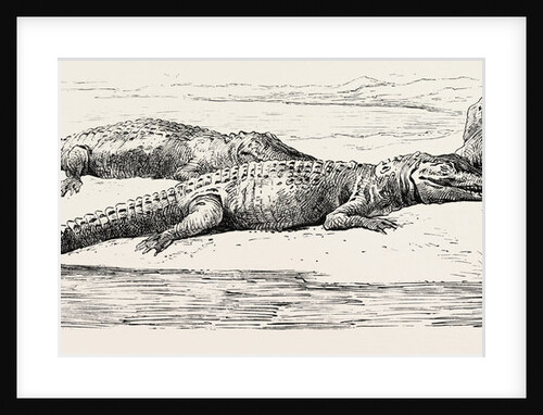 On The Thebes by Anonymous