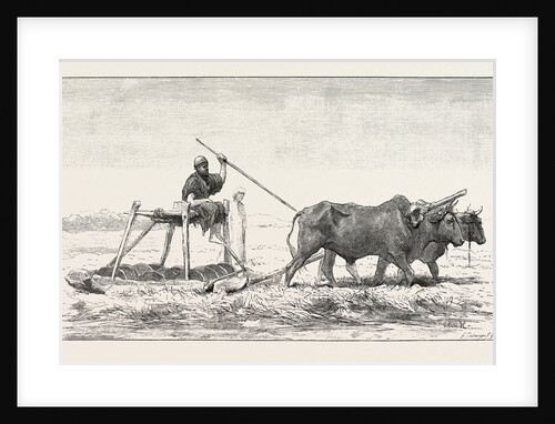 Threshing-sled by Anonymous